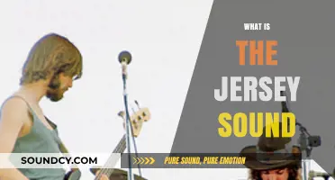 Exploring the Jersey Sound: A Unique Musical Legacy Unveiled