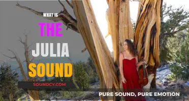 Unveiling the Mystique: Understanding the Enigmatic Julia Sound Phenomenon