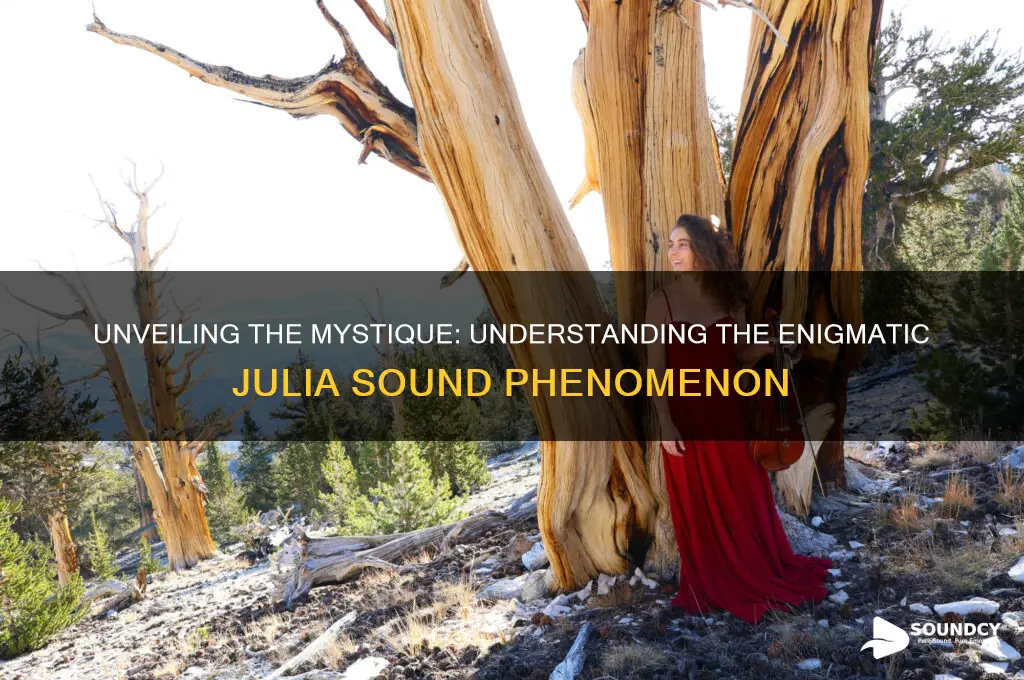 what is the julia sound