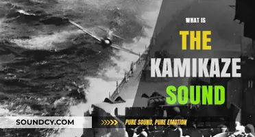 Unveiling the Kamikaze Sound: Origins, Impact, and Cultural Significance