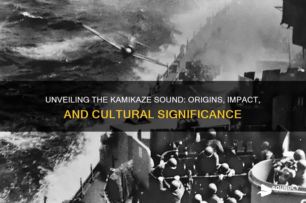what is the kamikaze sound
