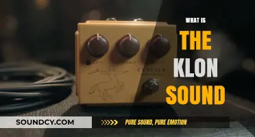 Unveiling the Klon Sound: A Comprehensive Guide to Its Unique Tone