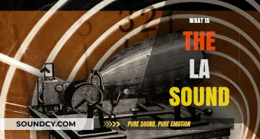 Exploring the Unique LA Sound: Origins, Evolution, and Cultural Impact
