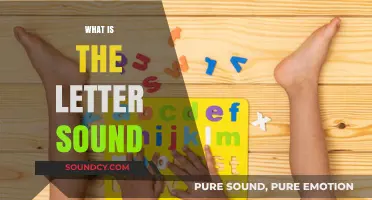 Understanding Letter Sounds: A Beginner's Guide to Phonics and Reading