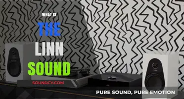 Unveiling the Unique Acoustic Signature of the Linn Sound