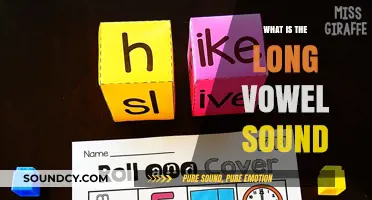 Mastering the Art of Long Vowel Sounds