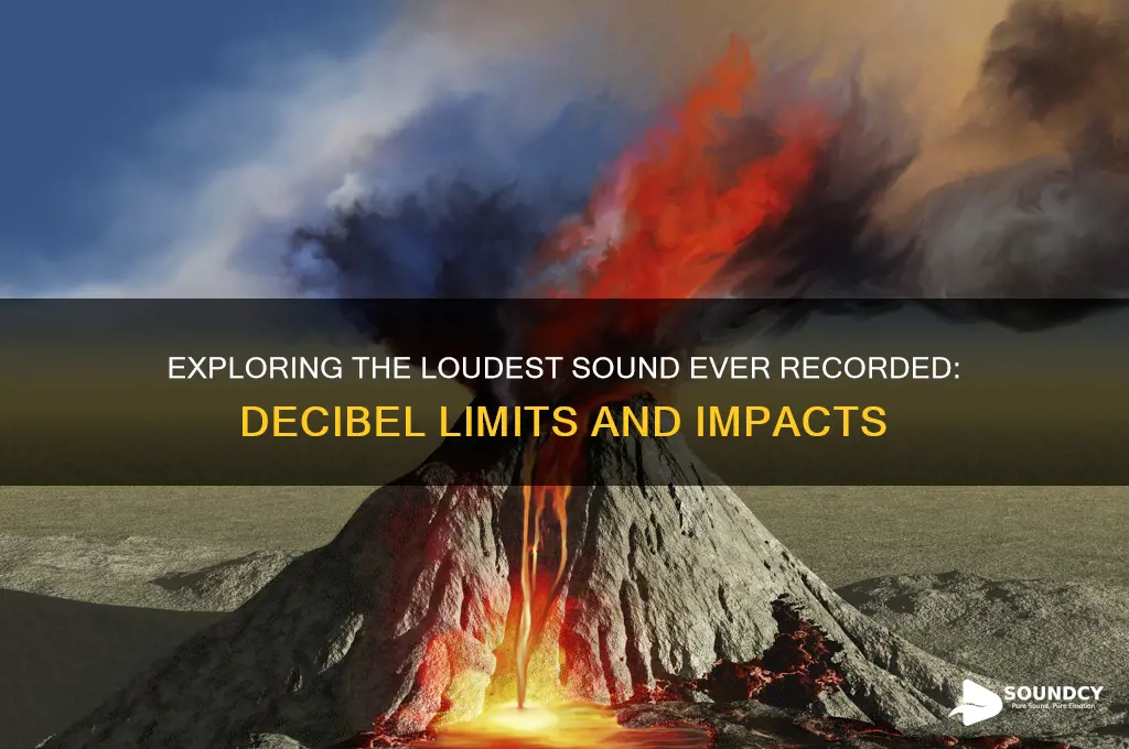 what is the loudest sound