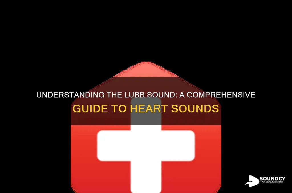 what is the lubb sound