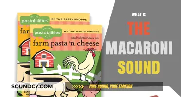 Unraveling the Mystery: What is the Macaroni Sound?