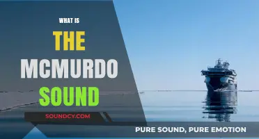 Exploring McMurdo Sound: Antarctica's Iconic Gateway to Science and Adventure