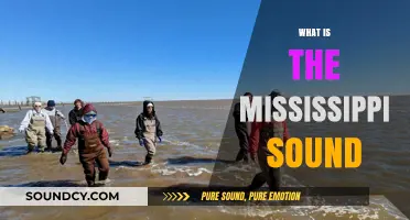 Exploring the Mississippi Sound: A Unique Coastal Ecosystem and Its Wonders