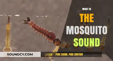 Unraveling the Buzz: Understanding the Science Behind Mosquito Sounds