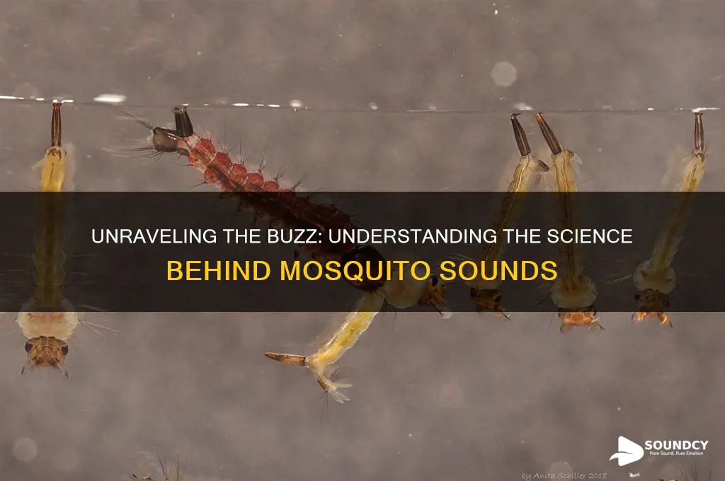 what is the mosquito sound