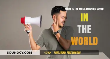 Unbearable Noises: The Most Annoying Sounds That Drive Us Crazy
