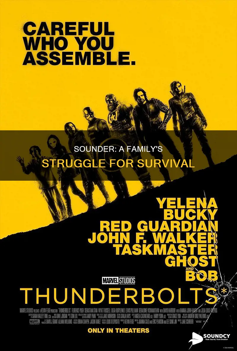 what is the movie sounder about
