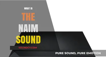 Exploring the Naim Sound: A Deep Dive into Audio Excellence