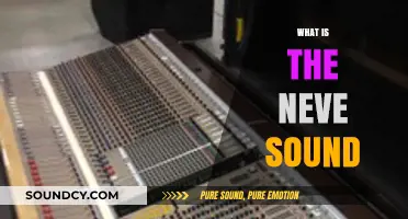 Unveiling the Neve Sound: A Legendary Analog Warmth Explained