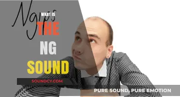 Understanding the NG Sound: Phonetics, Pronunciation, and Common Uses