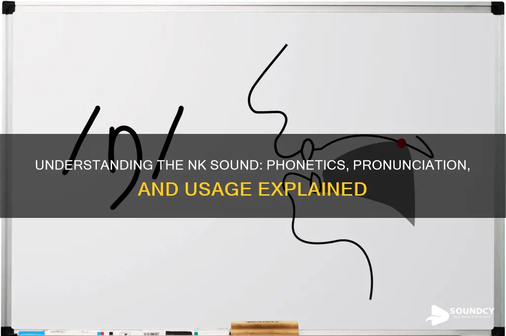 what is the nk sound