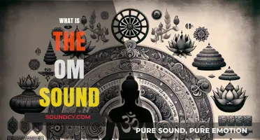 Understanding the OM Sound: Origins, Significance, and Spiritual Resonance