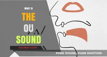 Understanding the OU Sound: Phonics, Pronunciation, and Common Examples