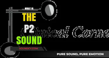Understanding the P2 Sound: Causes, Significance, and Diagnostic Insights