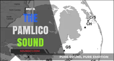 Exploring Pamlico Sound: North Carolina's Coastal Gem and Ecosystem