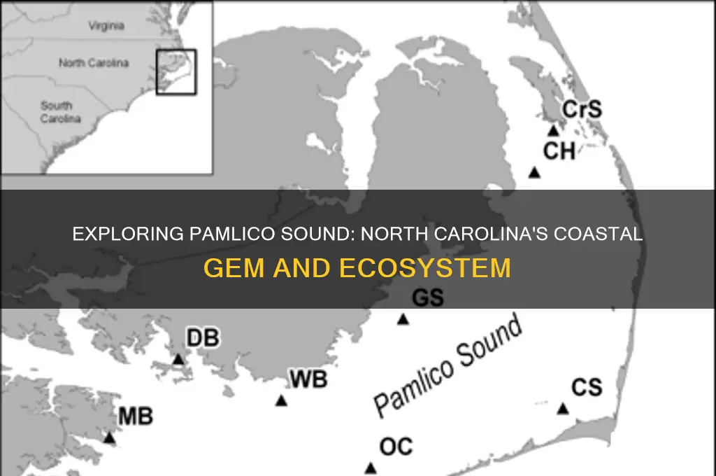 what is the pamlico sound