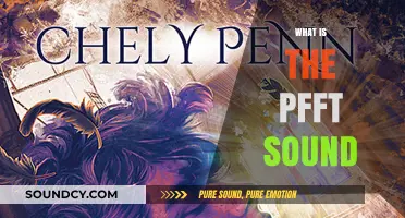 Unraveling the Mystery: What Causes the PFFT Sound?