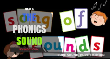 Understanding Phonics Sounds: A Beginner's Guide to Decoding Words