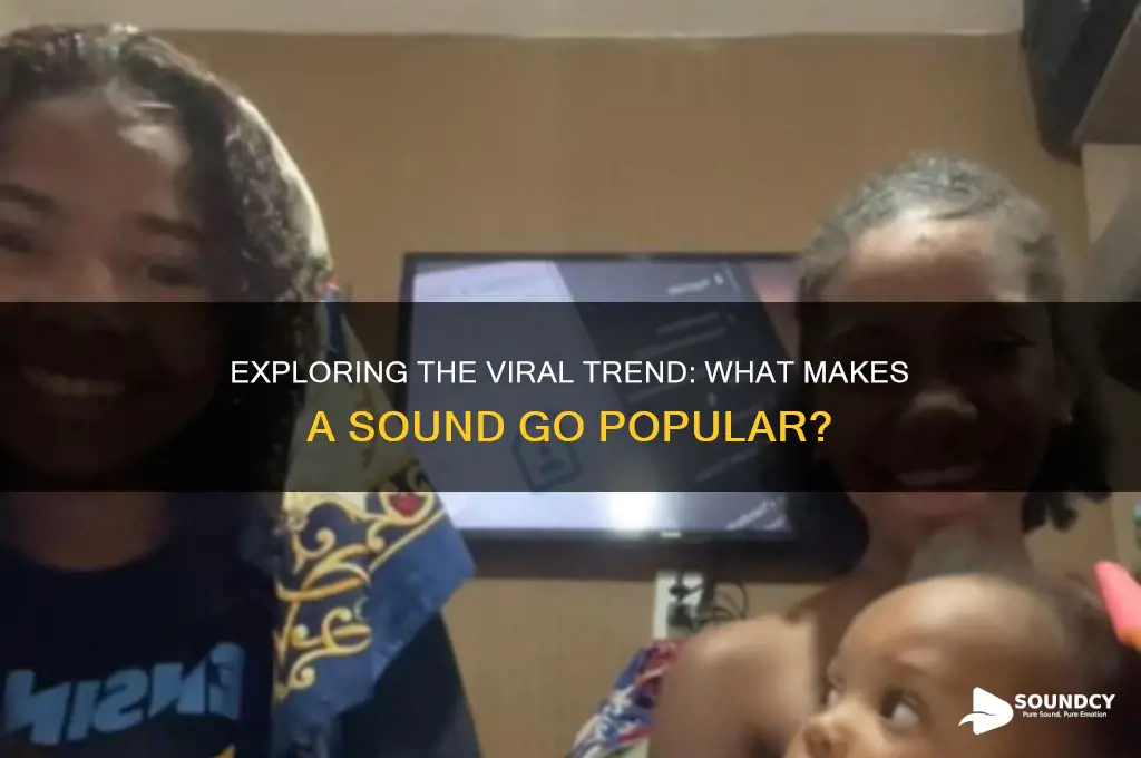 what is the popular sound