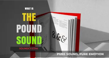 Understanding the Pound Sound: Origins, Uses, and Cultural Significance