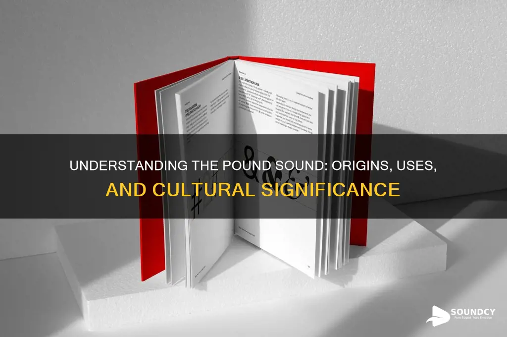 what is the pound sound