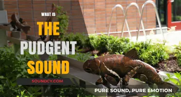 Understanding the Puzzling Pudgent Sound: Origins, Meaning, and Cultural Significance