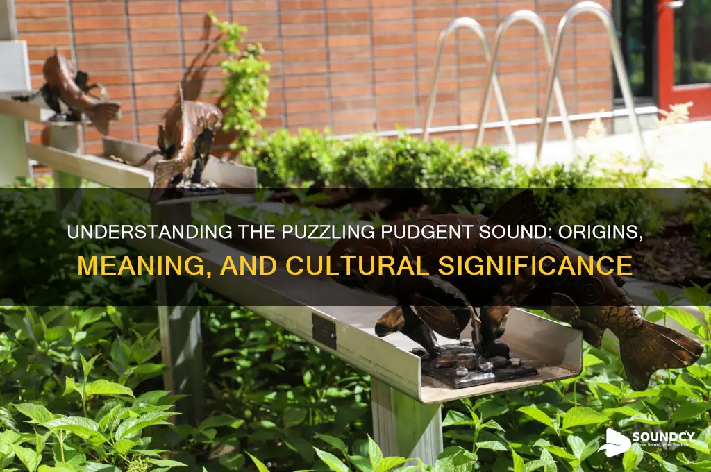 what is the pudgent sound