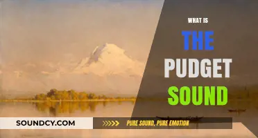 Exploring Puget Sound: A Guide to Its Beauty and Ecology