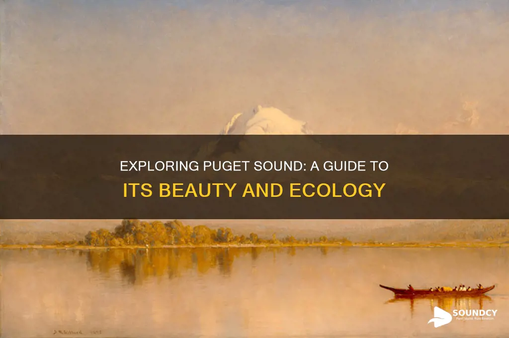 what is the pudget sound