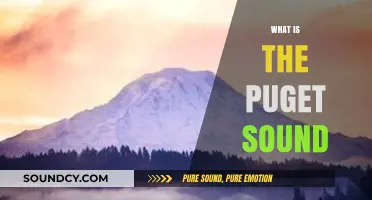 Exploring Puget Sound: A Comprehensive Guide to Its Beauty and Ecology