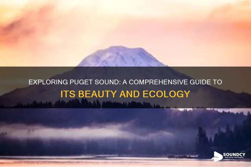 what is the puget sound