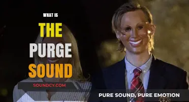 Understanding the Purge Sound: Origins, Meaning, and Cultural Impact
