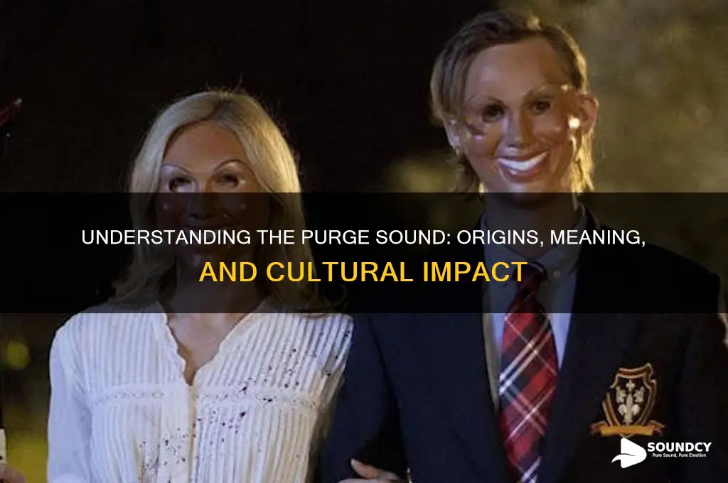 what is the purge sound