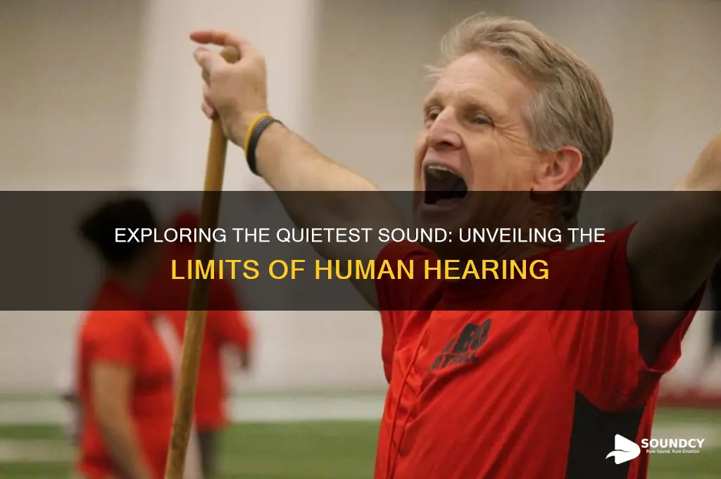 what is the quietest sound