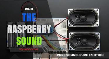 Understanding the Raspberry Sound: Origins, Science, and Cultural Significance Explained
