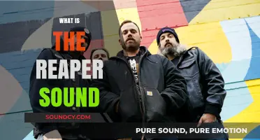 Unveiling the Reaper Sound: A Comprehensive Guide to Its Origins and Impact