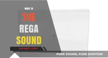 Exploring the Rich, Warm Rega Sound: A Hi-Fi Enthusiast's Guide