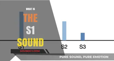 Understanding the S1 Heart Sound: Definition, Causes, and Clinical Significance