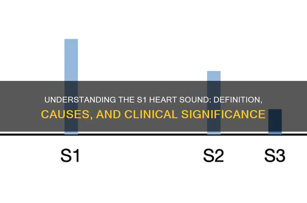 what is the s1 sound