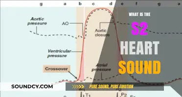 Heart Sounds: Understanding the S2 Heart Sound