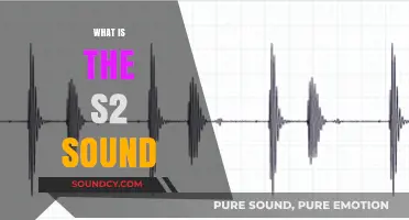 Understanding the S2 Heart Sound: Causes, Characteristics, and Clinical Significance