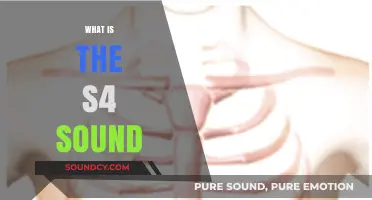 Understanding the S4 Heart Sound: Causes, Diagnosis, and Clinical Significance